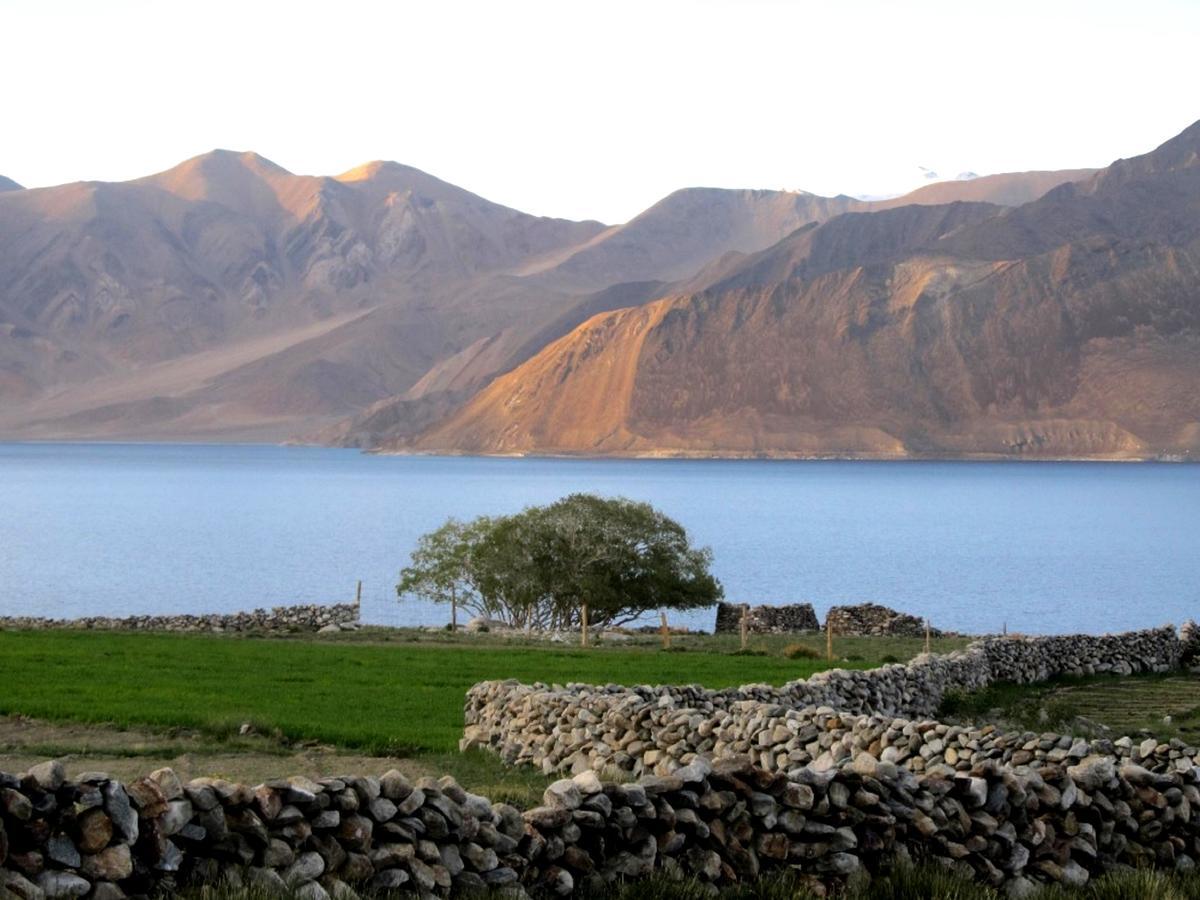 Pangong Delight Camps And Cottages Spangmik Exteriér fotografie