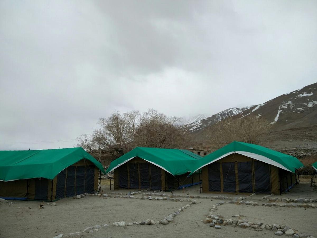 Pangong Delight Camps And Cottages Spangmik Exteriér fotografie